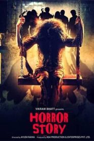 Horror Story (2013) Hindi