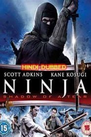 Ninja Shadow of a Tear (2013) Hindi Dubbed