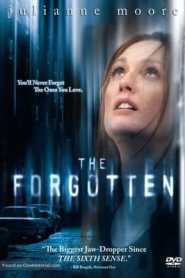 The Forgotten (2004) Hindi Dubbed