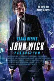 John Wick Chapter 3 Parabellum (2019)