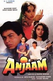 Anjaam (1994) Hindi