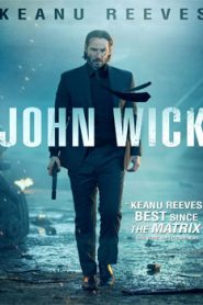 John Wick (2014) Hindi Dubbed