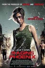 Raging Phoenix (2009) Hindi Dubbed