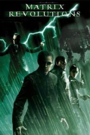 The Matrix Revolutions (2003) Hindi Dubbed