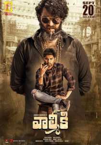 Gaddalakonda Ganesh 2019 South Hindi Dubbed