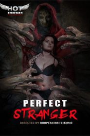 Perfect Stranger (2019) Hindi Hotshot