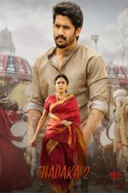 Thadaka 2 (2017) South Hindi Dubbed