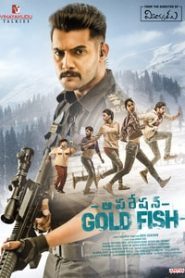 Operation Gold Fish (2019) South Hindi Dubbed