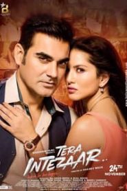 Tera Intezaar (2017) Hindi