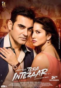 Tera Intezaar (2017) Hindi