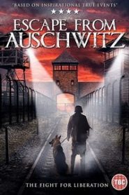 The Escape from Auschwitz (2020)