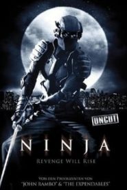 Ninja (2009) Hindi Dubbed