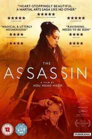 The Assassin (2015) Hindi Dubbed