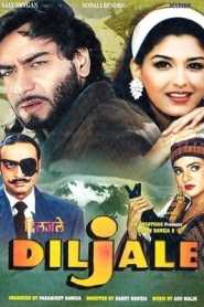 Diljale (1996) Hindi