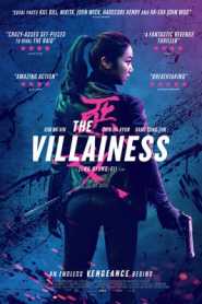 The Villainess (2017) Hindi Dubbed