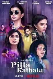 Pitta Kathalu (2021) Hindi Season 1