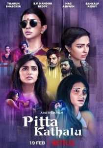 Pitta Kathalu (2021) Hindi Season 1