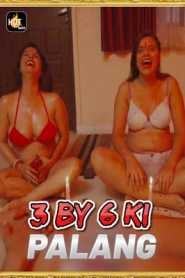 3 By 6 Ki Palang 2020 Hotmasti