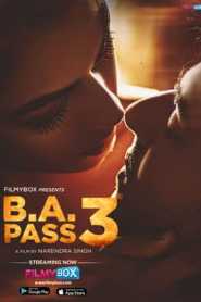 B A Pass 3 2021 Hindi