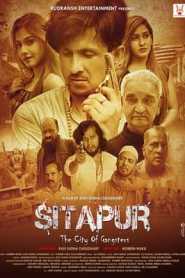 Sitapur The City of Gangsters 2021 Hindi