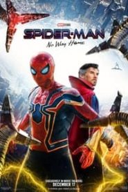 Spider Man No Way Home 2021 English