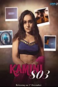 Kamini 803 2022 Feelit