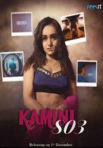 Kamini 803 2022 Feelit