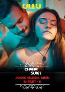 Charmsukh Jane Anjane Mein 6 (Part 1) (2023) UllU Hindi