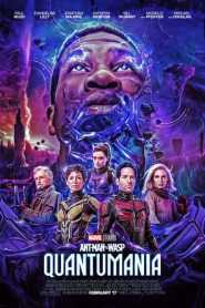 Ant Man and the Wasp Quantumania (2023) ORG Hindi Dubbed