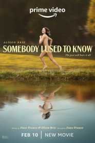 Somebody I Used to Know (2023) Hindi Dubbed