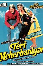 Teri Meherbaniyan 1995 Hindi