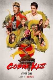 Cobra Kai (2021) Season 3 Hindi Dubbed