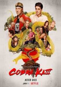 Cobra Kai (2021) Season 3 Hindi Dubbed