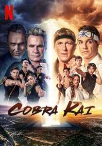 Cobra Kai (2021) Season 4 Hindi Dubbed